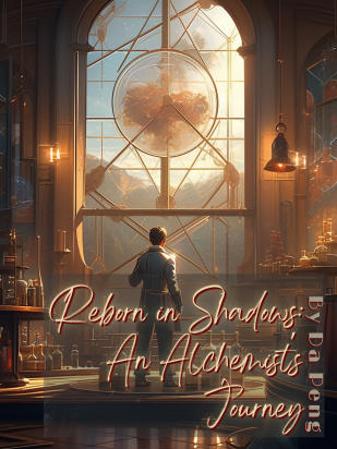 Reborn in Shadows: An Alchemist's Journey
